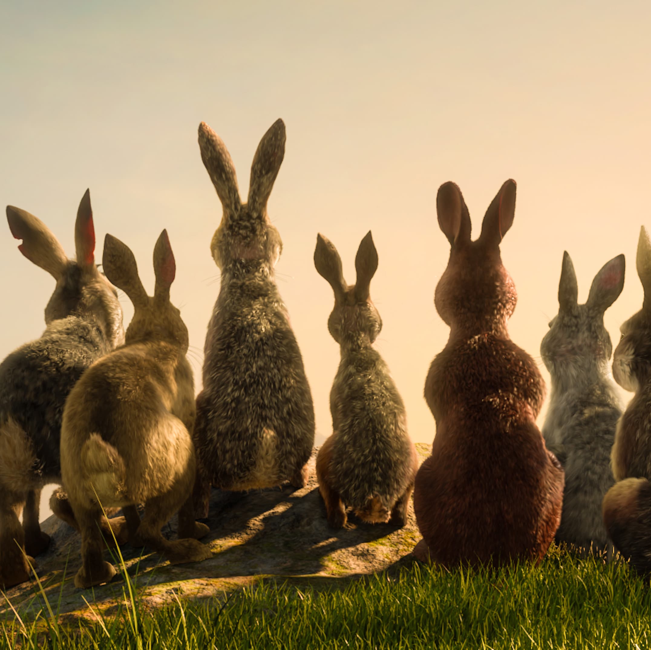 WATERSHIP DOWN